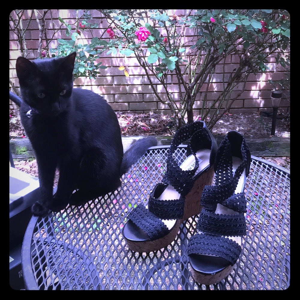 Steve Madden Black Wedges